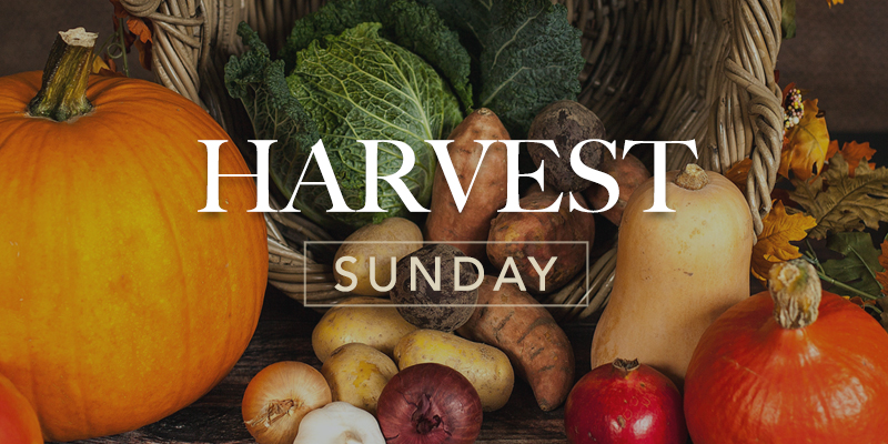 Harvest feature