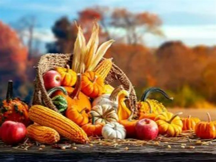 Harvest Lunch